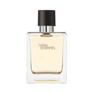 Hermes Terre D'Hermes Edt 100 ML Erkek Parfüm - Görsel 1
